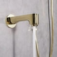 thumbnail image 4 of Eviva Splash Gold Coated Shower and Tub Faucet Set, 4 of 4