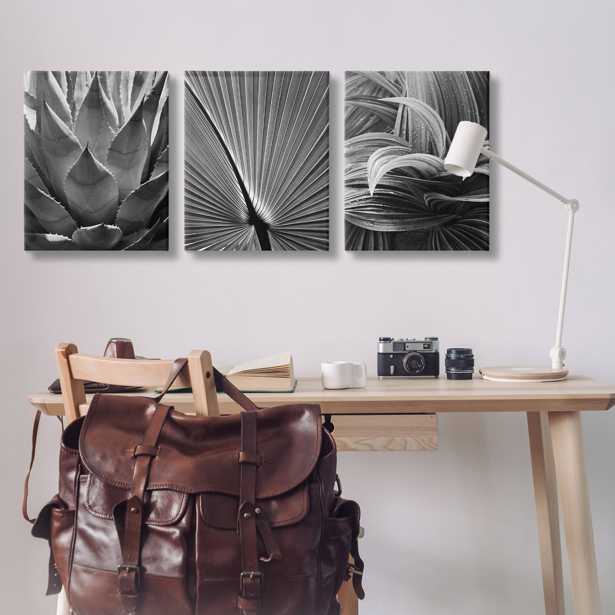 Stupell Industries Palm Frond Details Plants & Flowers Photography Wrapped Canvas Art Print Wall Art, 24 x 30, Set of 3