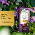 thumbnail image 3 of Shampoo Herbal Essences Bio:Renew Passion Flower & Rice Milk Nourish 400 ml, 3 of 5