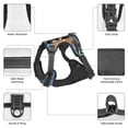 thumbnail image 6 of Bingfone Two Brave Cats Are Floating On The Sea Iceberg No Pull Dog Vest Harness For Small Medium Large Dogs Strap For Puppy Walking,Training,Dog Harness-Medium, 6 of 9