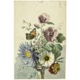 thumbnail image 3 of Vintage Apple Collection 13x18 Black Modern Framed Museum Art Print Titled - Flowers Eight, 3 of 5