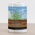 thumbnail image 2 of Science Ceramic Toothbrush Holder, Photosynthesis in Plant Diagram Biology Botany Agriculture Environment Foliage, Decorative Versatile Countertop for Bathroom, 4.5" X 2.7", Multicolor, 2 of 4