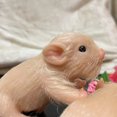 thumbnail image 3 of Muyoka Siline Animals Pig Doll High Simulation Mini Siline Piglet BPA-free Siline Realistic Toy Pig para accesorios de fotografía Lechón realista para niños Adultos Regalo Muyoka Hogar, 3 of 6