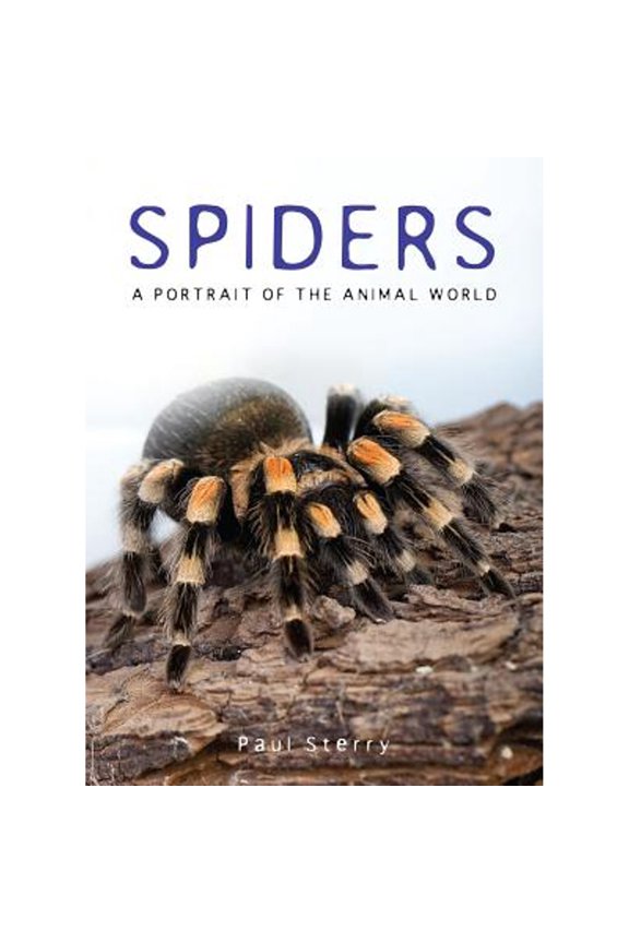 Pre-Owned Spiders: A Portrait of the Animal World (Paperback) by Paul Sterry