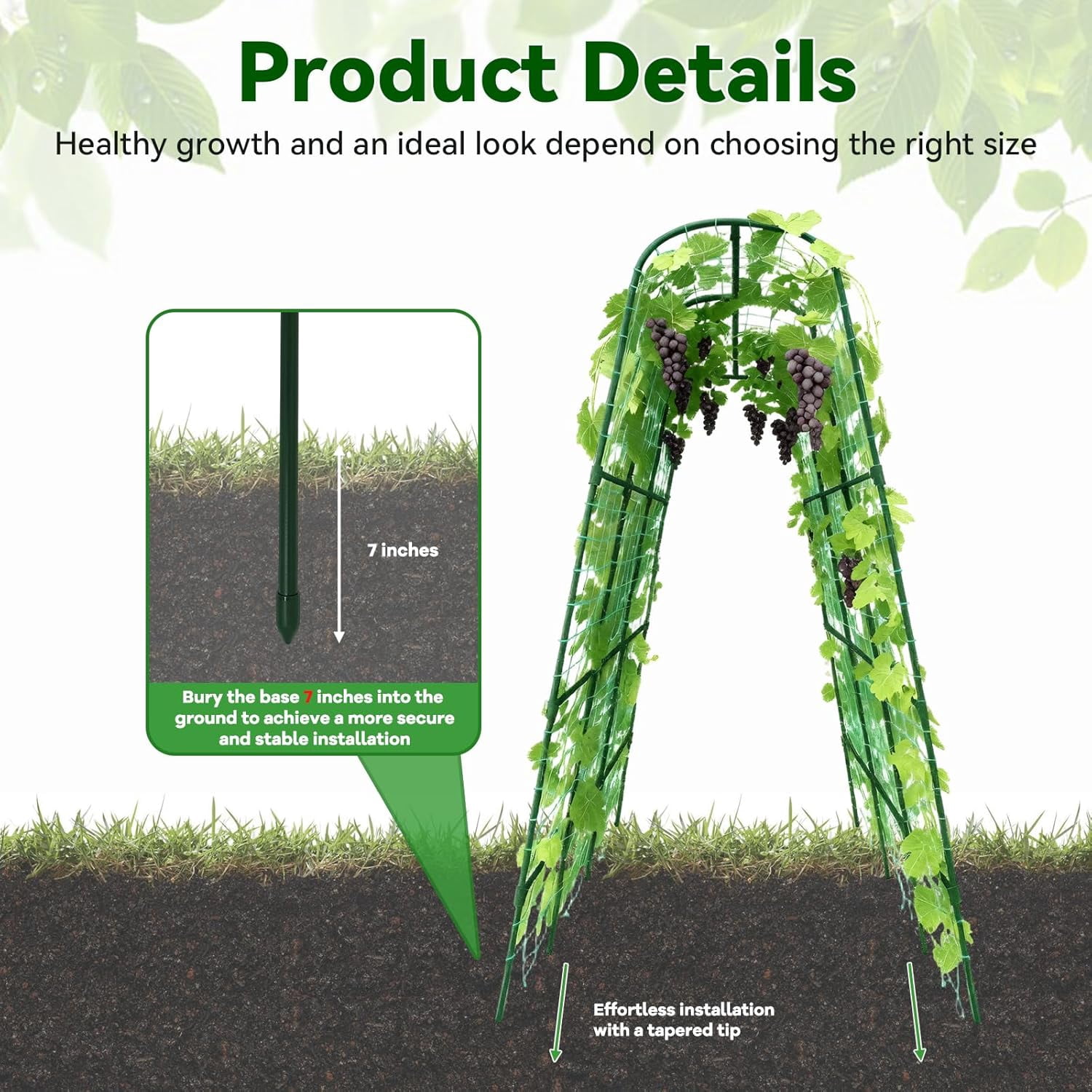 Cucumber Trellis - 62.4"*50" Cucumber Trellis for Raised Bed with Plastic-Coated Steel Pipe, U-Shape Garden Trellis for Climbing Plants, Garden Trellis for Cucumbers, Beans(Green)