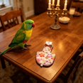 thumbnail image 5 of Cherry Blossom Parrot Diaper Flight Suit, Adjustable Bird Waste Catcher Harness, For Budgie Conure Lovebird Travel (Beige Floral)-L, 5 of 6