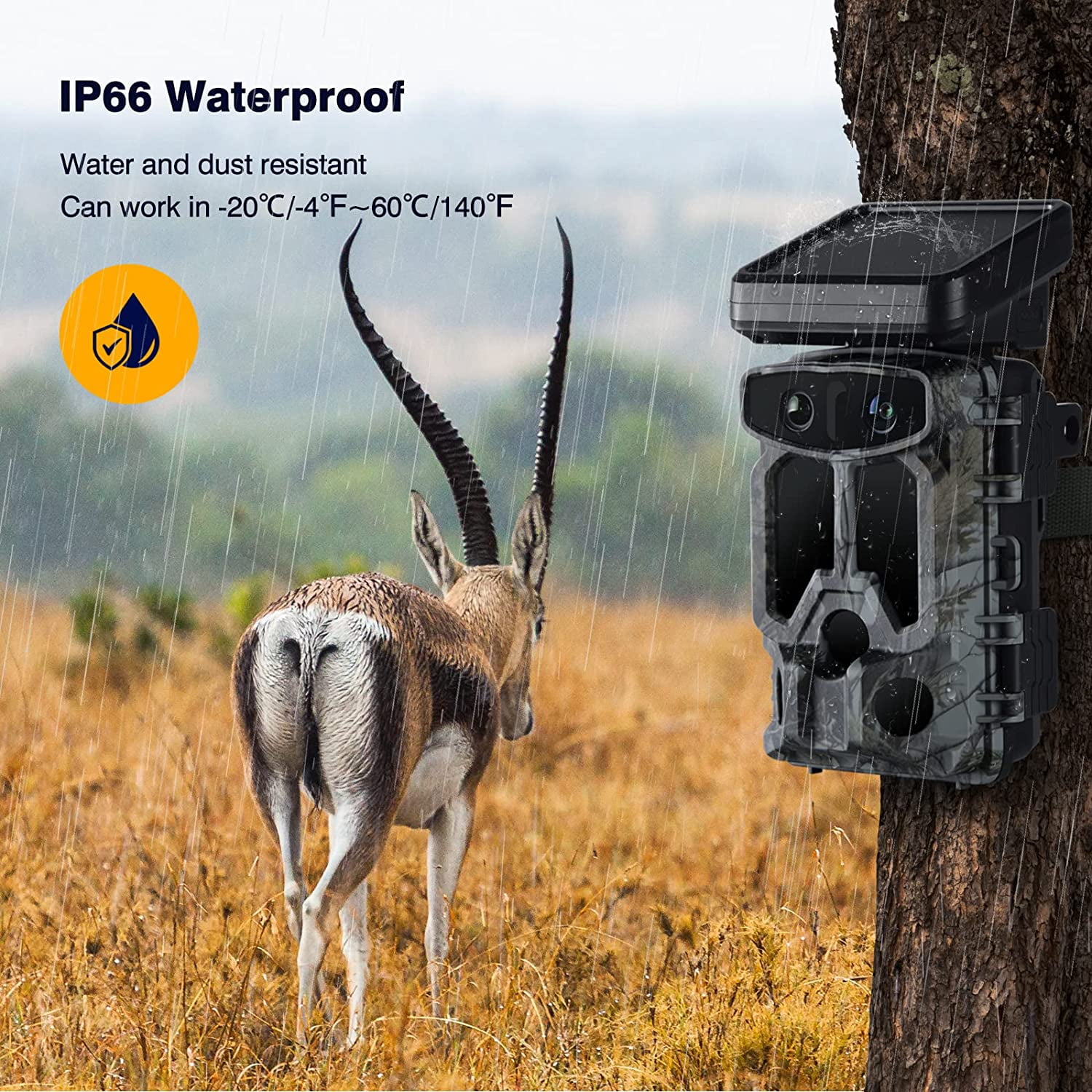 CAMPARK Trail Camera WiFi, Starlight Night Vision Dual Lens Native 4K 60MP 30FPS Bluetooth Game Hunting Cameras with IMX458 Sensors for Wildlife Monitoring