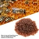 thumbnail image 3 of Reina de célula, Alimentación de la Apicultura de la Celda Reina, PlásTico Marrón No Tóxico No Tóxico para la Apicultura, 3 of 7