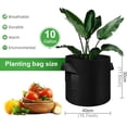 thumbnail image 2 of Paquete de 5 bolsas de cultivo de 10 galones, macetas de tela no tejida gruesa resistente con asas, bolsas de cultivo de plantas para verduras/flores/plantas/frutas, negro, 2 of 5