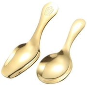 2 Pcs Coffee Spoons Little Spoons Tasting Spoons Household Pudding Spoon Mini Dessert Spoon Spoon Ice Cream Scoop Stainless Steel Child