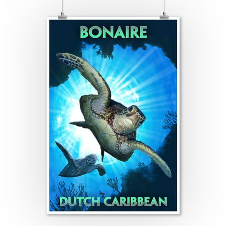 Bonaire, Dutch Caribbean - Sea Turtle Diving - Lantern Press Poster (9x12 Art Print, Wall Decor Travel