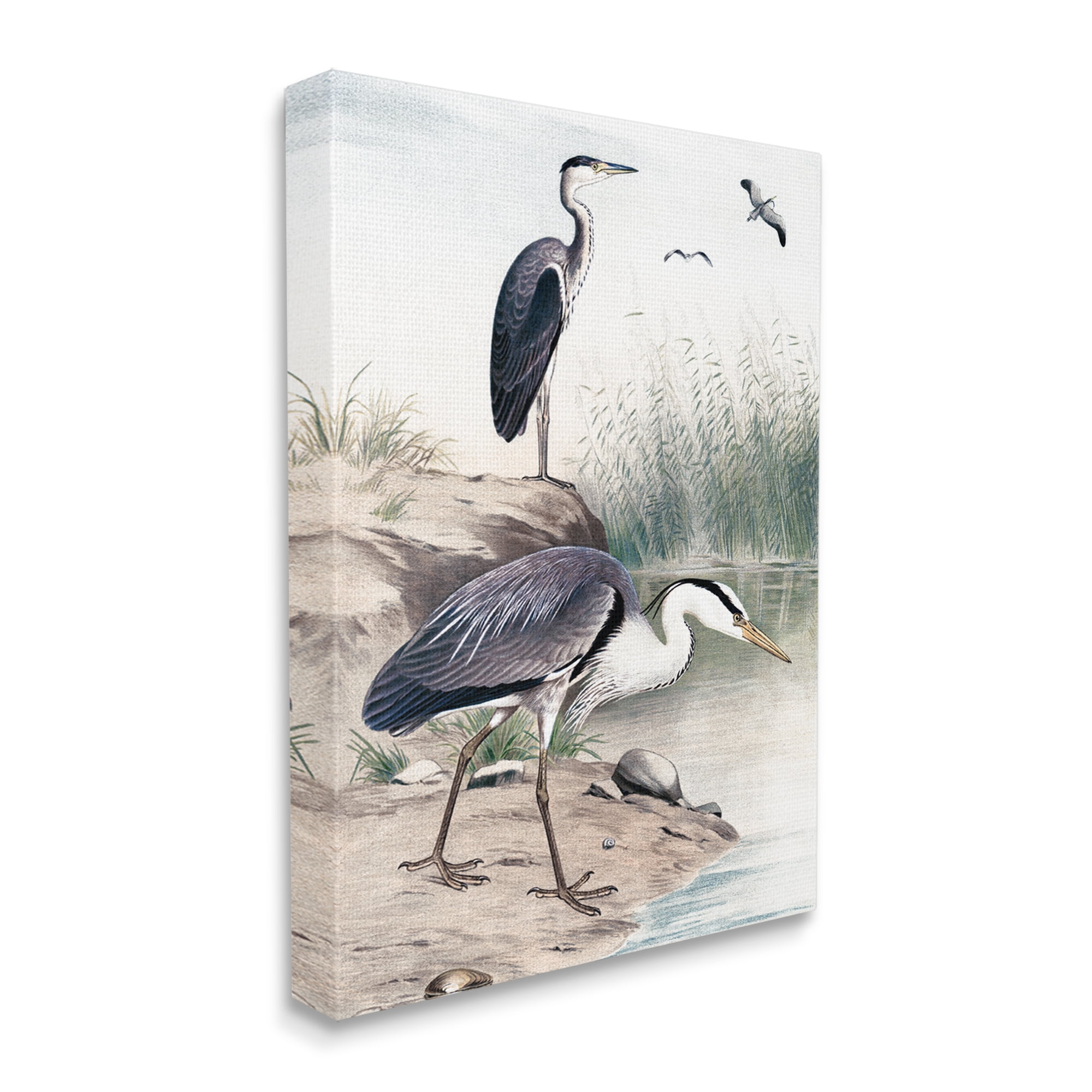 Stupell Industries Heron Birds on Lake Shore Pampas Grass Nature Painting Gallery Wrapped Canvas Print Wall Art, Design by Piddix