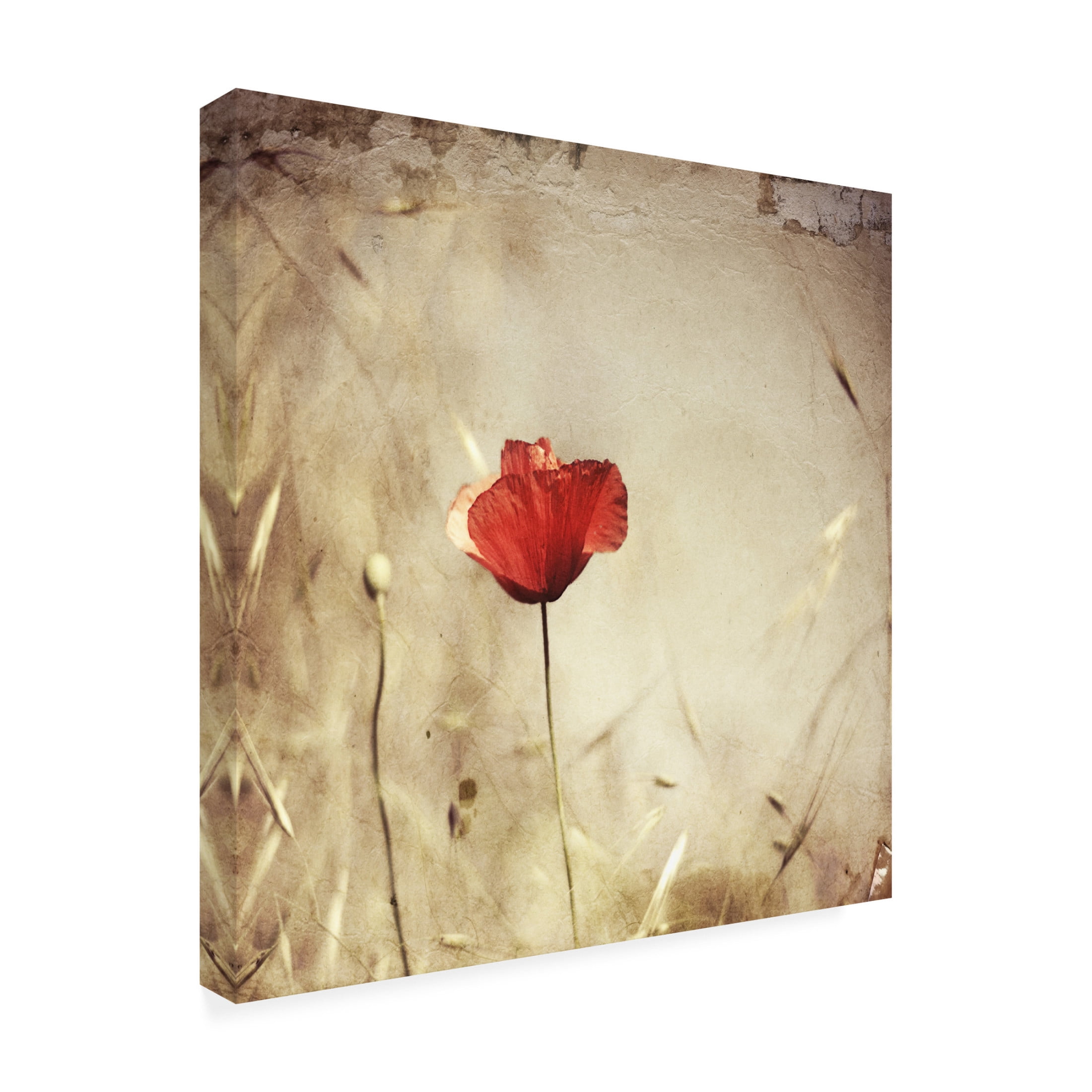 Canvas Wall Art - Ala Pneuma 'Alone' Wall Art for Living Room, Bedroom, or Office Décor by Trademark Fine Art - 18 x 18 Inches