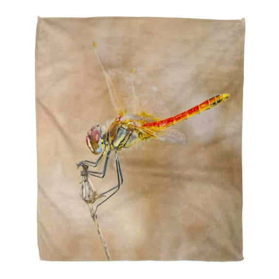 ASHLEIGH Throw Blanket Warm Cozy Print Flannel Green Red Dragonfly Beautiful Beauty Comfortable Soft for Bed Sofa and Couch 50x60 Inches