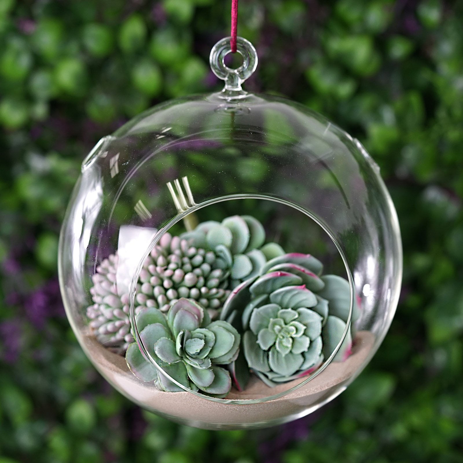 4Pcs Ball Air Plants Succulents Wall Hanging Planters Glass Terrariums 