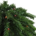 thumbnail image 3 of Northlight 4' Pre-Lit Artificial Tropical Outdoor Patio Palm Tree - Multicolor Lights, 3 of 5