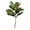 Vert, variante sur Hearth & Gear 1Pcs Branches de Magnolia Feuilles de Magnolia Feuilles de Magnolia Pics Feuilles de Magnolia Réalistes Brindilles Verdure Magnolia pour Maison Table Vase Intérieur Extérieur Fleurs Extérieures Articles de Réception de Mariage