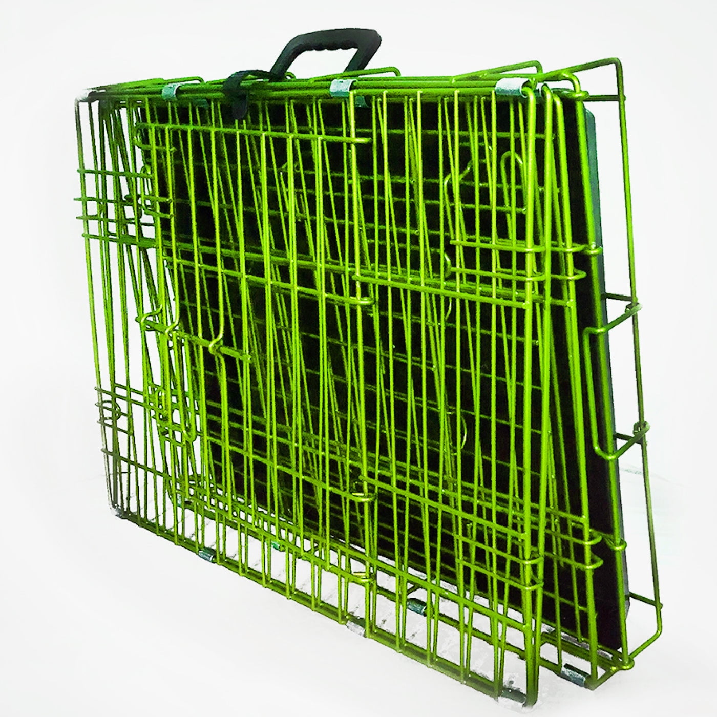 Pet Expressions 24 Inch Green Colored Metal Wire Dog Crate - Available in Various Sizes and Colors