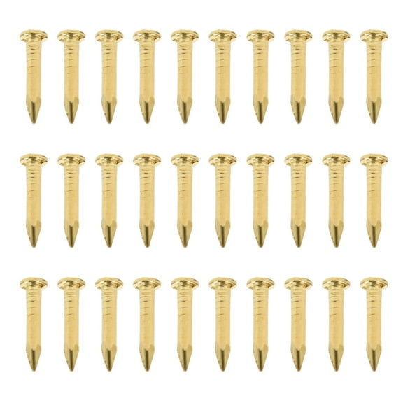 GOOHOCHY  200 Pcs Small Nails for Craft Projects Brass Furniture DIY