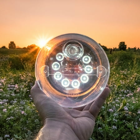 UPC: 0855941004606 | Luci Original: Solar Inflatable Lantern