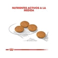thumbnail image 2 of Alimento Perro Raza Pequeña Sensitive Skin 1.3Kg Royal Canin Royal Canin Alimento Croquetas para Perro, 2 of 3