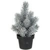 Northlight 8.5" Silver Potted Glittered Artificial Mini Pine Christmas Tree - Unlit