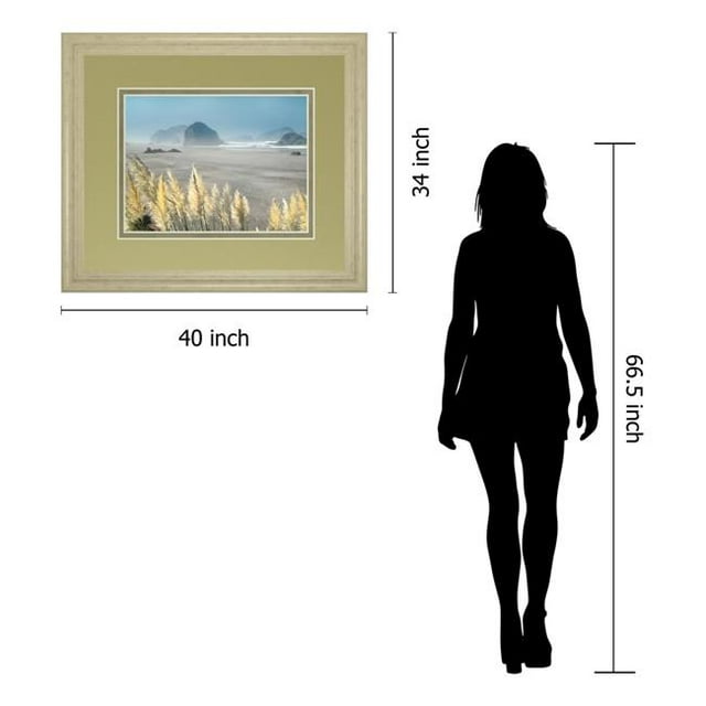 Art DM5644 Classy 34 x 40 Po Pompas Plage par Frates Encadrée Impression Murale Art
