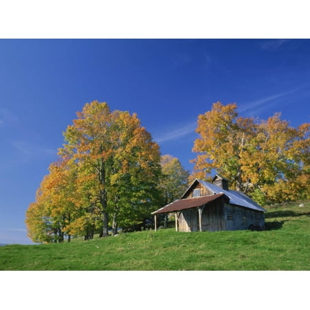 Wooden Barn Building and Trees in Fall Colours, Vermont, New England, USA Print Wall Art By Rainford