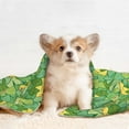 thumbnail image 4 of Sigee Cartoon Frog And Lotus Leaf for Pet Blanket for Dog Cat Puppy Blanket Cat Blankets for Small and Medium Pets-Small, 4 of 8