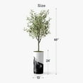 thumbnail image 4 of Artificial Tree in Contemporary Planter, Fake Olive Silk Tree for Indoor and Outdoor Home Decoration - 68" Overall Tall (Plant Pot Plus Tree), 4 of 5