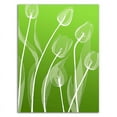 thumbnail image 3 of 18" x 24" Floral 4 by GraphINC Studio - Wall Art Print on Canvas Fabric White, 3 of 3