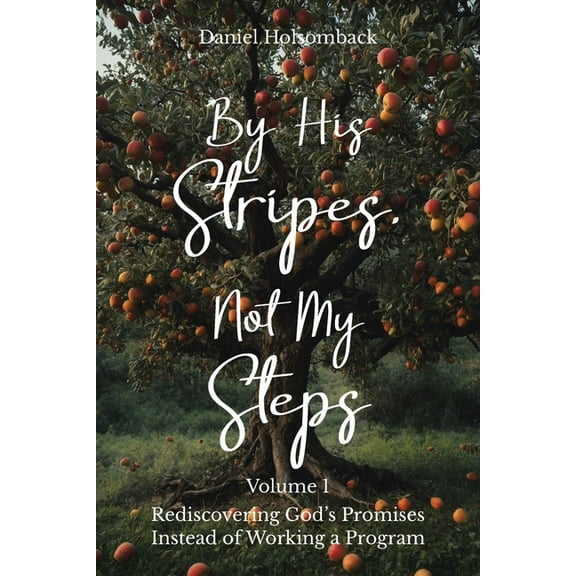 By His Stripes, Not My Steps: Rediscovering God's Promises Instead of Working a Program, (Paperback)