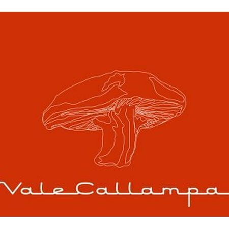 Vale Callampa [EP]