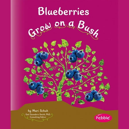 Blueberries Grow on a Bush - Audiobook