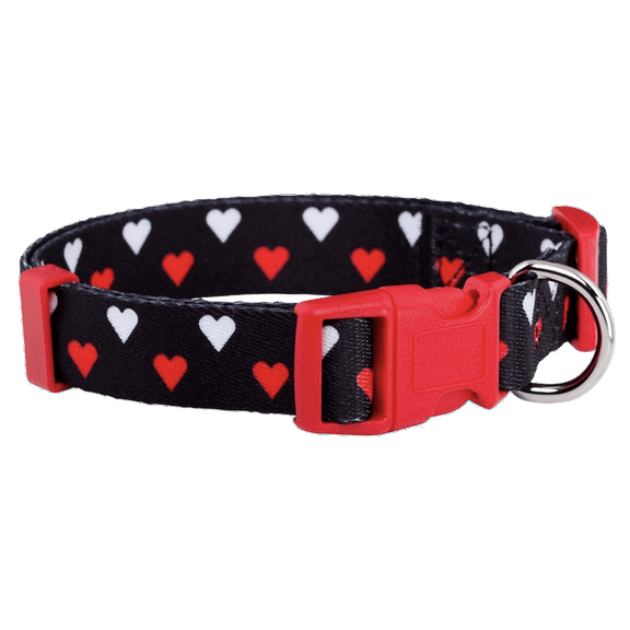 Native Pup Valentine's Day/Heart Dog Collar