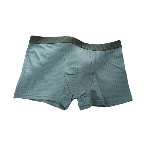 Gubotare Men Panties Mens Boxer Briefs Merino Wool Underwear Base Layer for Men (Blue,XL)