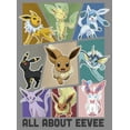 thumbnail image 2 of Junior's Pokemon All About Eevee Eeveeloution Cowl Neck Sweatshirt Gray Heather X Large, 2 of 4