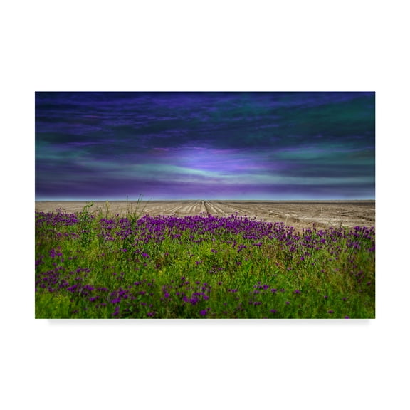 Trademark Fine Art 'Beyond The Wildflower' Canvas Art by Barbara Simmons