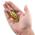 thumbnail image 5 of Berkley Shallow Money Badger Fishing Crankbait, 2.75 in, Hybrid Baitfish-Crayfish, 5 of 6