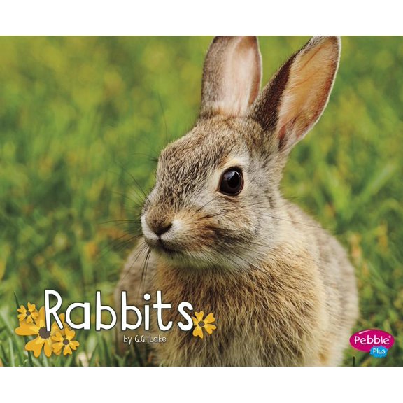 Woodland Wildlife Rabbits, (Paperback)