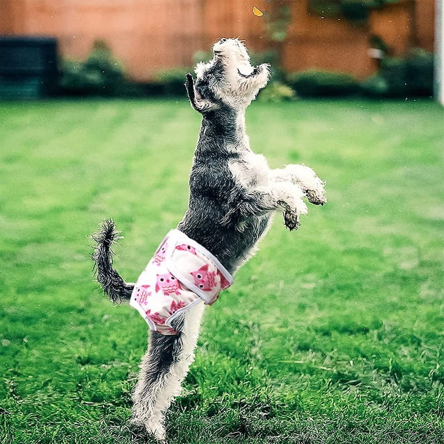 Paquete de 1 pañal reutilizable y lavable para perros, pantalones fisiológicos para perros de alta absorción, pañal sanitario, prevención del acoso a mascotas, pantalones fisiológicos.