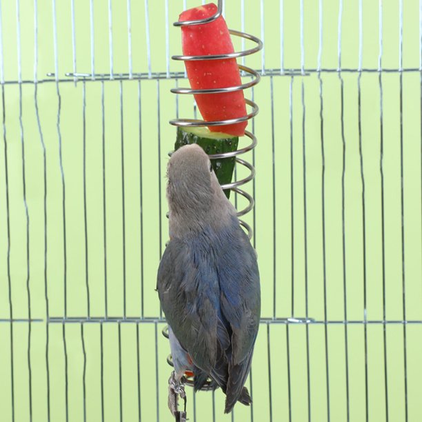 Xihbxyly Comedero Acrílico para Pájaros, Jaula Transparente para Psitácidos, Fácil Instalación, Diseño Antiderrames, Mantenimiento Higiénico, Gran Capacidad, Suministros para Loros, Entorno de Alimen