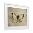 thumbnail image 3 of Stupell Industries Graceful Vintage Butterfly White Framed Print Under Glass, design by Creative Studio, 17 x 23, 3 of 10