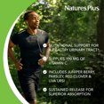 thumbnail image 4 of Suplemento Natures Plus Ultra Cranberry 1000 120 comprimidos, 4 of 9
