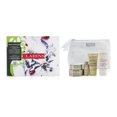 thumbnail image 1 of Clarins Collection Nutri-Lumière : 4 Pcs+1 Sac, 1 of 1