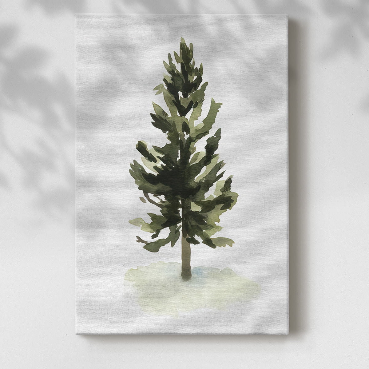 Watercolor Pine I- Gallery Wrapped Canvas