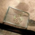 thumbnail image 2 of Stainless Steel Reptile Sand Shovel 10 Mesh Cleaning Tools Durable Sand Flea Rake Sand er for Reptiles Cat Kitten, 2 of 8