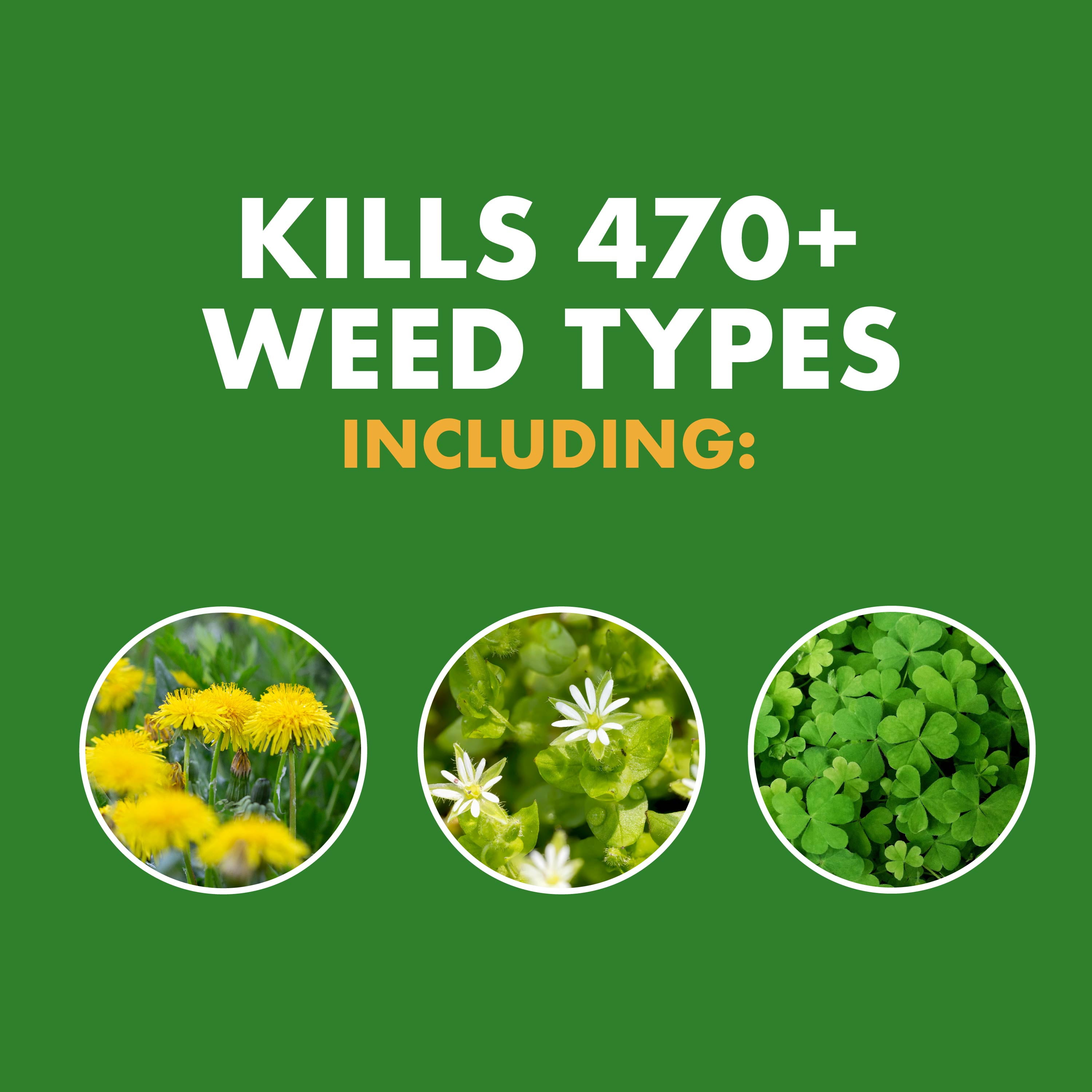 Spectracide Weed Stop for Lawns Plus Crabgrass Killer with AccuShot Sprayer, 1.33 Gal.