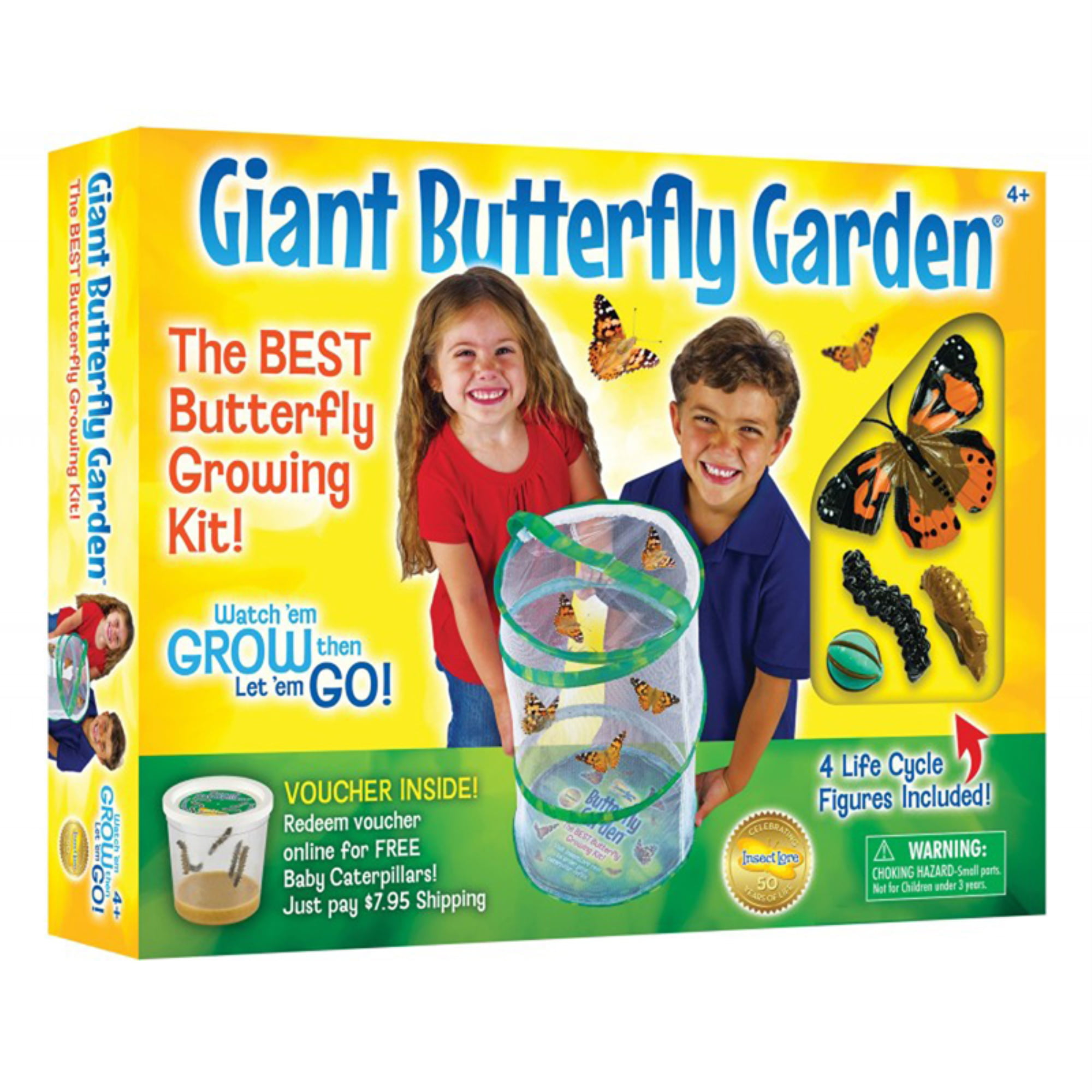 Ready to Ship Now 5 Live Caterpillars to Grow Painted Lady Butterflies Kit w/ Butterfly Cage 