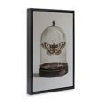 thumbnail image 3 of Stupell Industries Eclectic Black Floating Frame Canvas Art, 21 x 31, by Petals Prints Design, 3 of 8